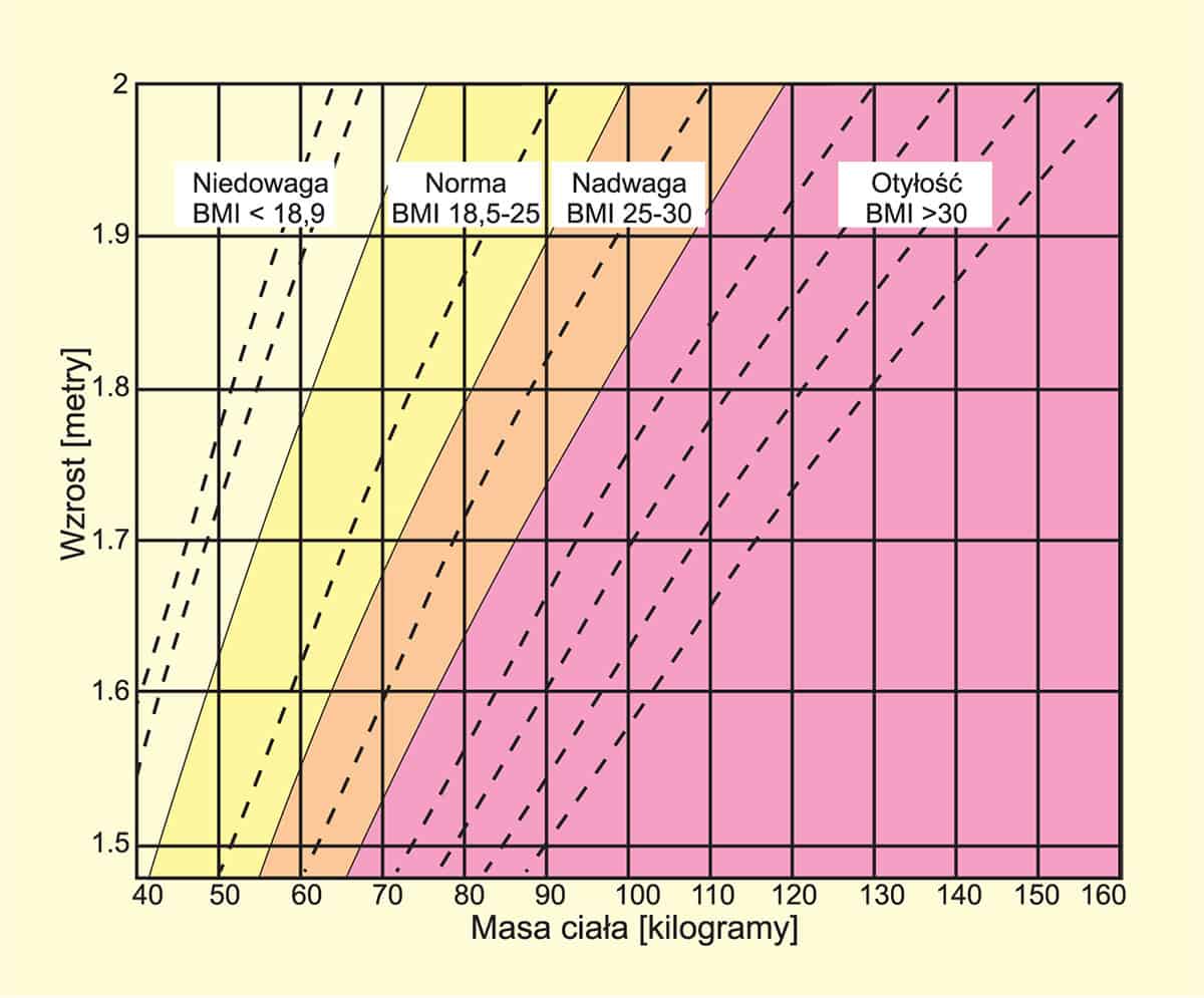 Otylość – wykres BMI