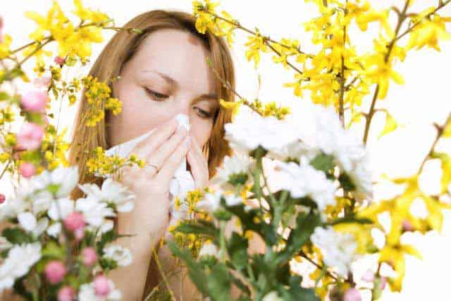 Kichaj na alergie